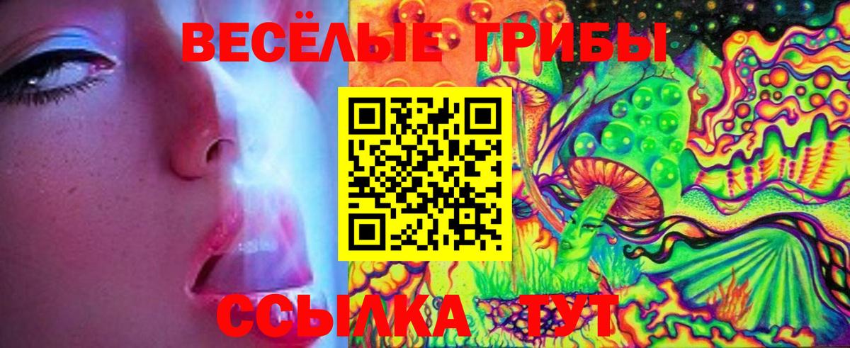Псилоцибиновые грибы Cubensis Щёлково