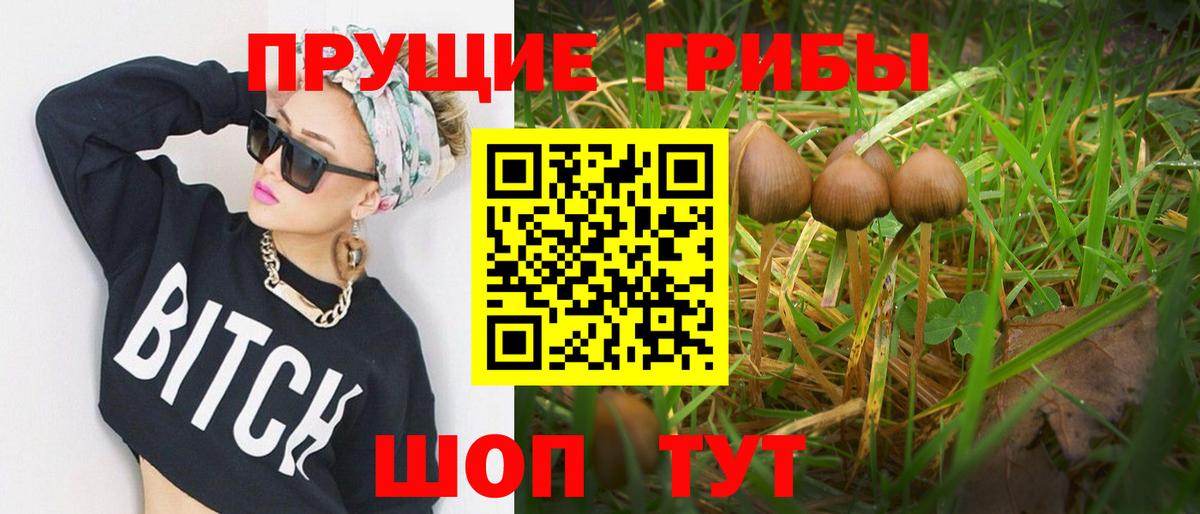 Галлюциногенные грибы мицелий  Вход с VPN  где купить наркоту  Щёлково 